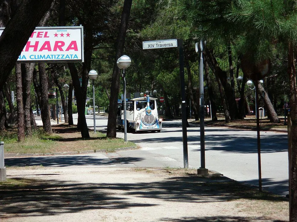 ***  Hotel Sahara Milano Marittima Italy